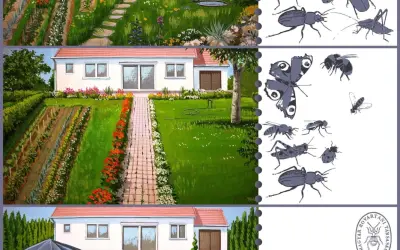 Arborização urbana e Paisagismo, uma nova percepção para os nossos centros urbanos