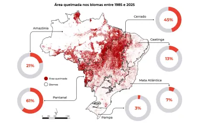 Área queimada no Brasil cai 58% em 2025, mas Cerrado concentra 69% do fogo
