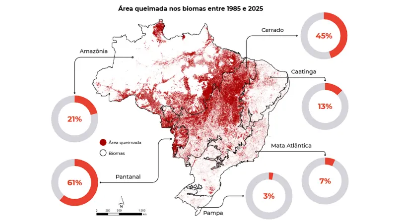Área queimada no Brasil cai 58% em 2025, mas Cerrado concentra 69% do fogo