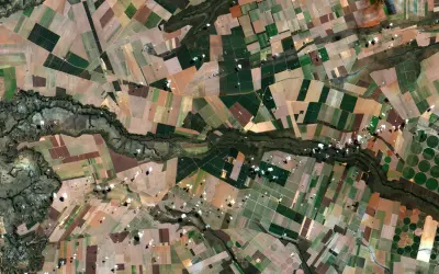 Áreas privadas de conservação no Cerrado poderiam preservar até 25% dos hábitats