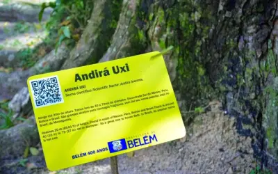 Árvores de Belém(PA) ganham identificação em QR Code
