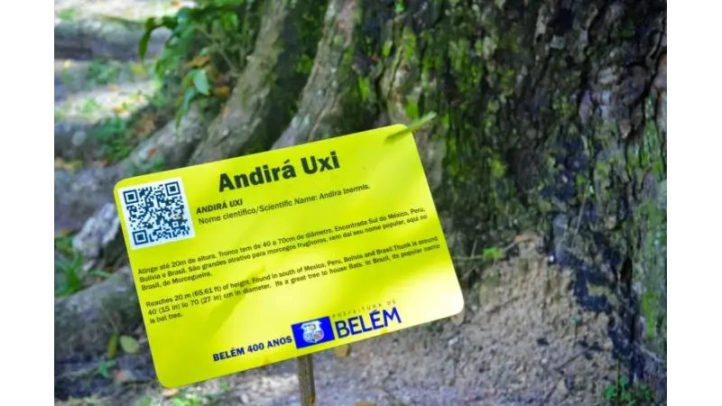 Árvores de Belém(PA) ganham identificação em QR Code