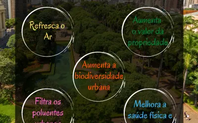 Árvores Urbanas e seus benefícios