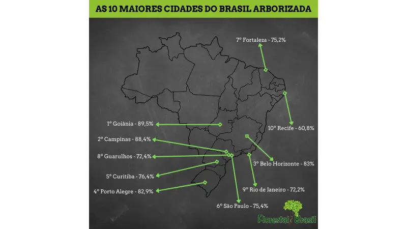 As 10 cidades do Brasil mais arborizadas