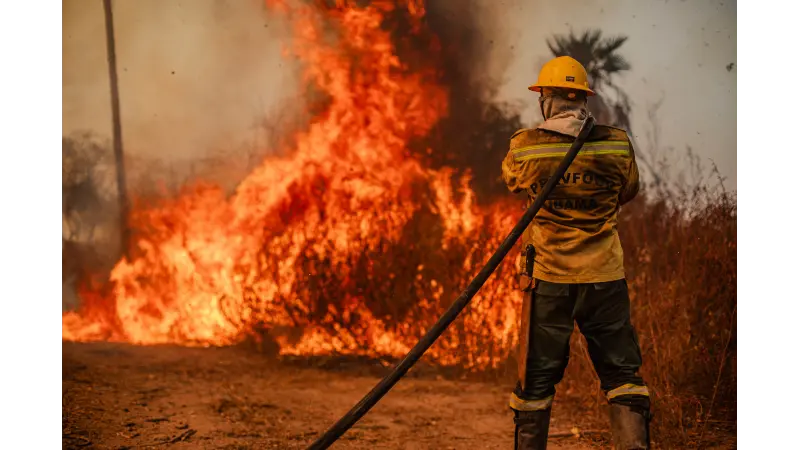 As duas secas: Como a escassez de chuvas e a redução da umidade do solo intensificam os incêndios na Amazônia