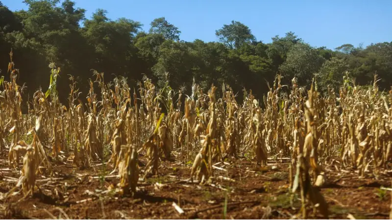 As mais recentes diretrizes para o enfrentamento da mudança do clima