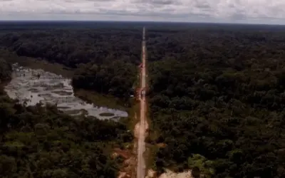Asfaltamento da BR-319 pode gerar novas pandemias