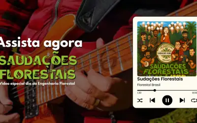 Assista agora: Videoclipe “Saudações Florestais” celebra o Dia do Engenheiro Florestal com música