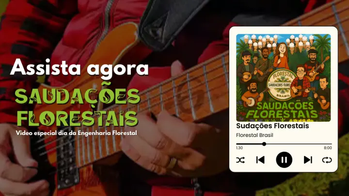 Assista agora: Videoclipe “Saudações Florestais” celebra o Dia do Engenheiro Florestal com música