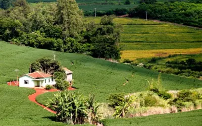Atenção! Cadastro Ambiental Rural passa a ser obrigatório na declaração do ITR