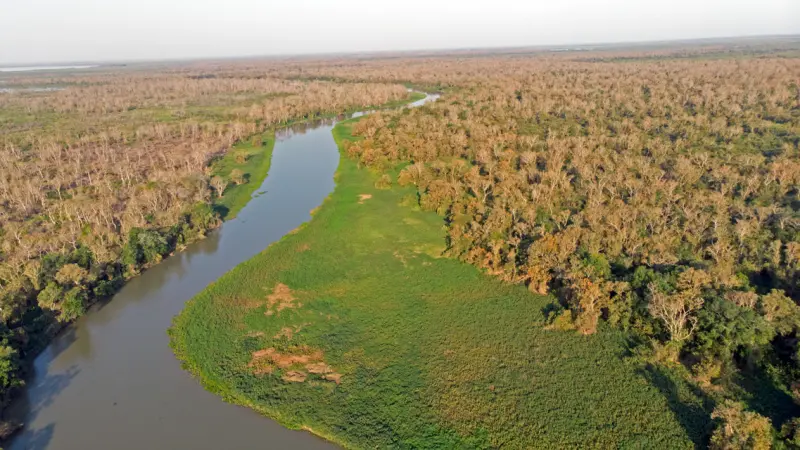 Atual queimada pode mudar para sempre o bioma do Pantanal
