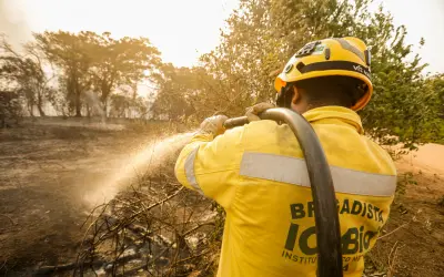 Atualizações sobre o combate a incêndios no Pantanal Norte