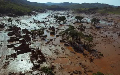 Bananas cultivadas em solo com rejeitos do desastre de Mariana apresentam níveis elevados de toxinas, aponta estudo