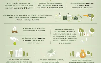Benefícios das Árvores Urbanas