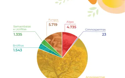 Biodiversidade brasileira