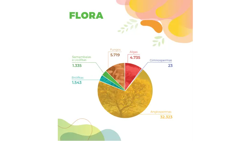 Biodiversidade brasileira