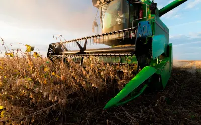 Biopesticidas ganham espaço no Brasil