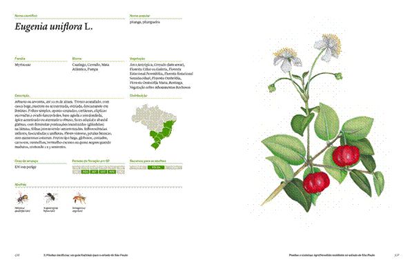 T&iacute;tulo: Ficha da pitanga (Eugenia uniflora) no guia ilustrado. Ilustra&ccedil;&atilde;o: Ingryd Guimar&atilde;es - Descri&ccedil;&atilde;o: Ficha da pitanga (Eugenia uniflora) no guia ilustrado. Ilustra&ccedil;&atilde;o: Ingryd Guimar&atilde;es