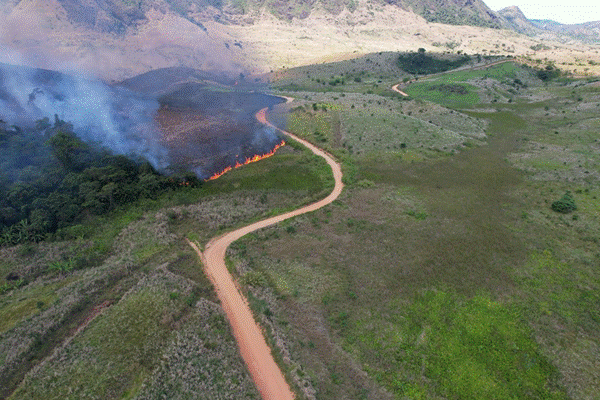 T&iacute;tulo: Linha de fogo avan&ccedil;ando ao lado da estrada, registrada por drone em 7 de outubro. Foto: Projeto H&atilde;mhi Terra Viva - Descri&ccedil;&atilde;o: Linha de fogo avan&ccedil;ando ao lado da estrada, registrada por drone em 7 de outubro. Foto: Projeto H&atilde;mhi Terra Viva