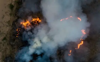 Bolsonaro corta R$ 8,6 milhões de controle de incêndios florestais