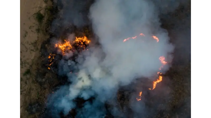 Bolsonaro corta R$ 8,6 milhões de controle de incêndios florestais