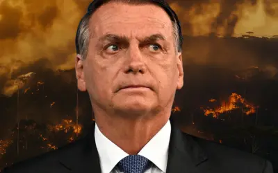 Bolsonaro e o Meio Ambiente: O Julgamento que Ainda Falta
