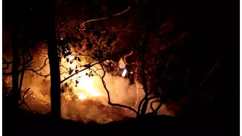 Bombeiros combatem incêndio florestal de grandes proporções na Grécia
