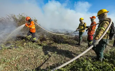 Bombeiros de MT continuam combate de quatro incêndios florestais no Estado neste domingo (21)