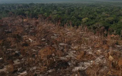 Brasil precisa fortalecer ações de proteção de florestas para cumprir metas internacionais