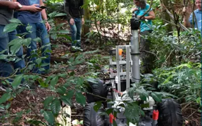Brasileiros lideram equipe finalista em concurso global de tecnologia para florestas tropicais