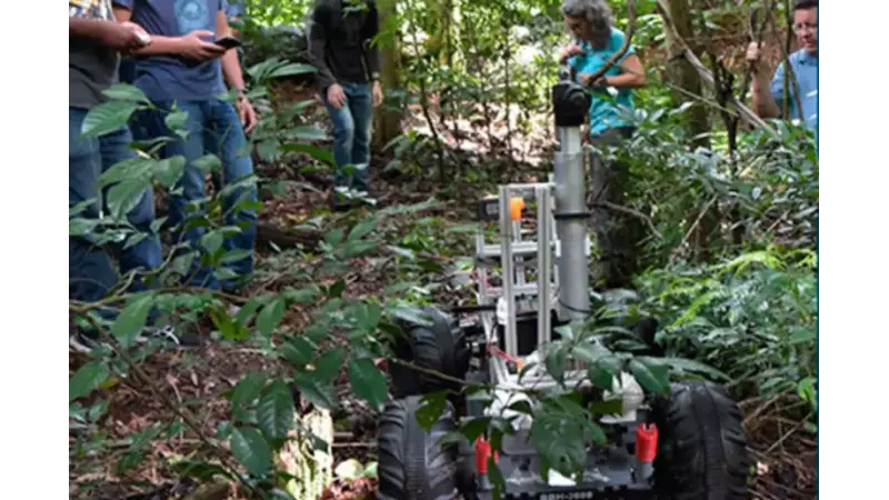 Brasileiros lideram equipe finalista em concurso global de tecnologia para florestas tropicais