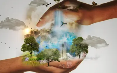 Câmara aprova realização de campanha de educação ambiental em junho