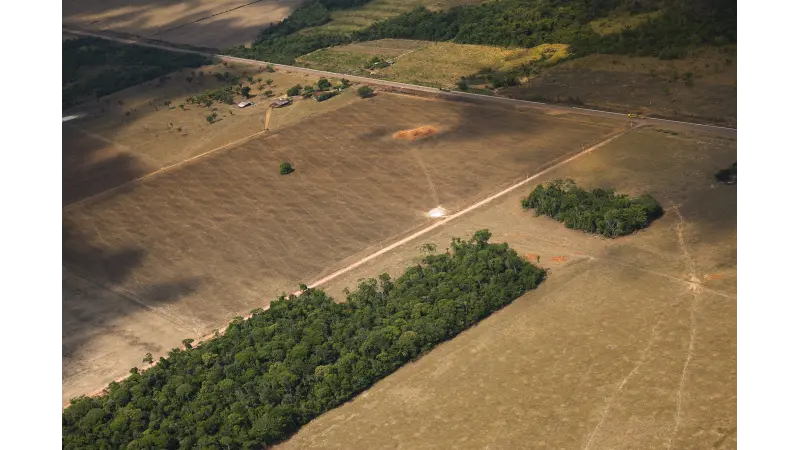 CAR será tratado conforme a lei, diz ministro da Agricultura