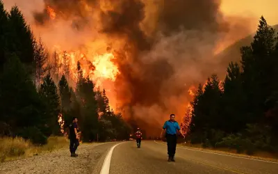 Chamas sem fronteiras: incêndios na Patagônia evidenciam nova dinâmica do fogo