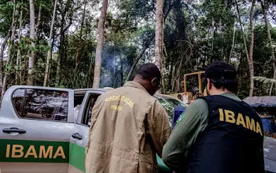 Chefes da fiscalização do Ibama são exonerados após operação; Servidores vêem retaliação