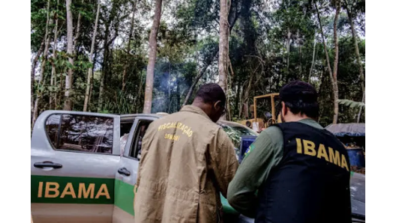 Chefes da fiscalização do Ibama são exonerados após operação; Servidores vêem retaliação