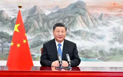 China adiciona 700 espécies à lista de proteção de animais selvagens terrestres