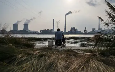 China decide não investir no fundo florestal criado pelo Brasil na COP30