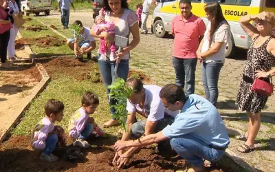 Cidades brasileiras que plantam uma árvore para cada bebê que nasce