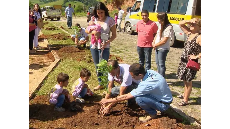 Cidades brasileiras que plantam uma árvore para cada bebê que nasce