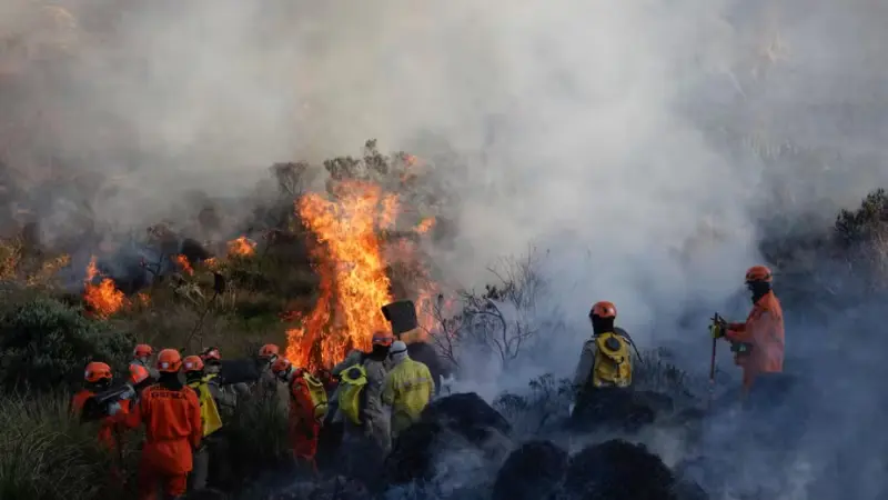 Matemática contra o Fogo: Como a ciência está antecipando o risco de incêndios na Mata Atlântica