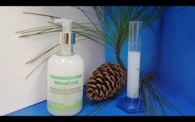 Cientistas brasileiros usam nanocelulose de Eucalipto e Pinus para fabricação de álcool em gel