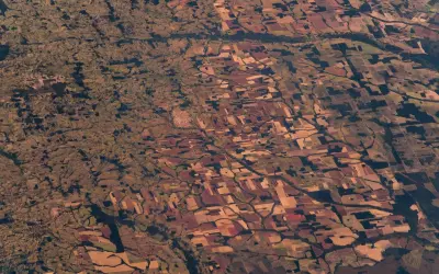 Cientistas querem banir o termo “savanização” para colapso da Amazônia