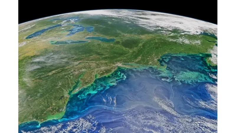 Cientistas querem usar ferro no oceano para combater aquecimento global; entenda