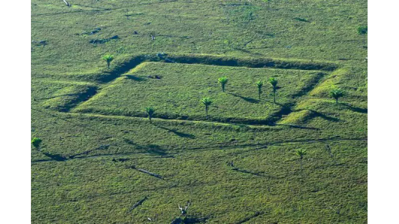 Cientistas se unem a povos da Floresta Amazônica para proteger sítios arqueológicos em risco