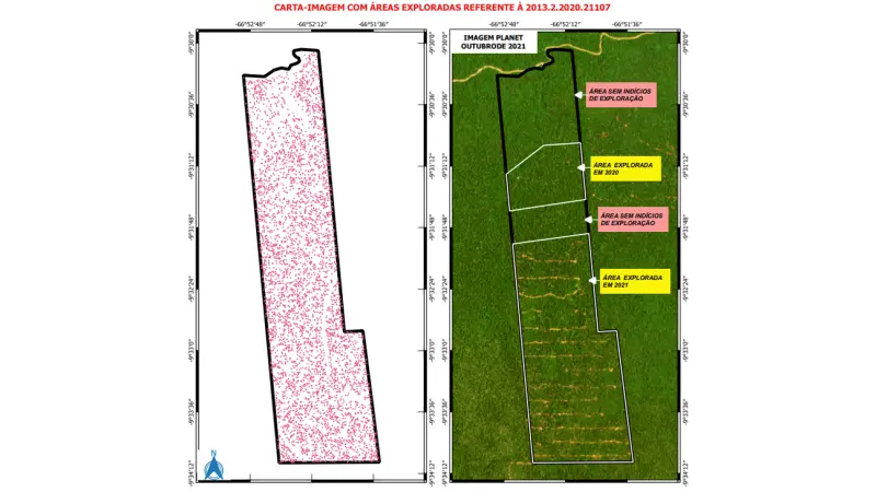 Cinco planos de manejo florestal no Amazonas foram suspensos pelo Ibama por fraude