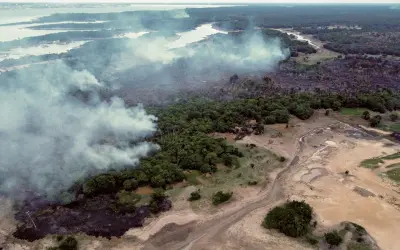 Desmatamento e aquecimento global transformam o clima da Amazônia