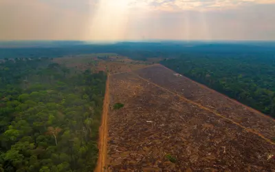 13 Anos do Código Florestal: Rigor para Brasileiros, Benevolência para Estrangeiros