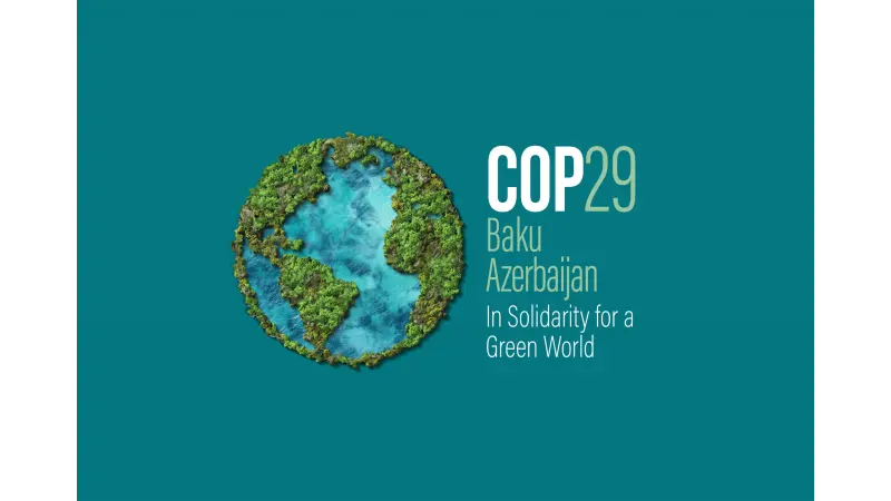 O Código Florestal Brasileiro na COP29