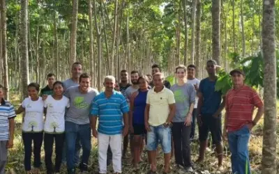 Com agroflorestas em áreas desmatadas, a Floresta S/A quer recuperar a biodiversidade e atrair investidores para a Amazônia